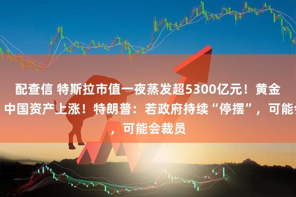 配查信 特斯拉市值一夜蒸发超5300亿元！黄金下跌！中国资产上涨！特朗普：若政府持续“停摆”，可能会裁员