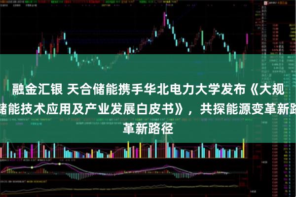 融金汇银 天合储能携手华北电力大学发布《大规模储能技术应用及产业发展白皮书》，共探能源变革新路径